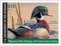 2012 Federal Duck Stamp